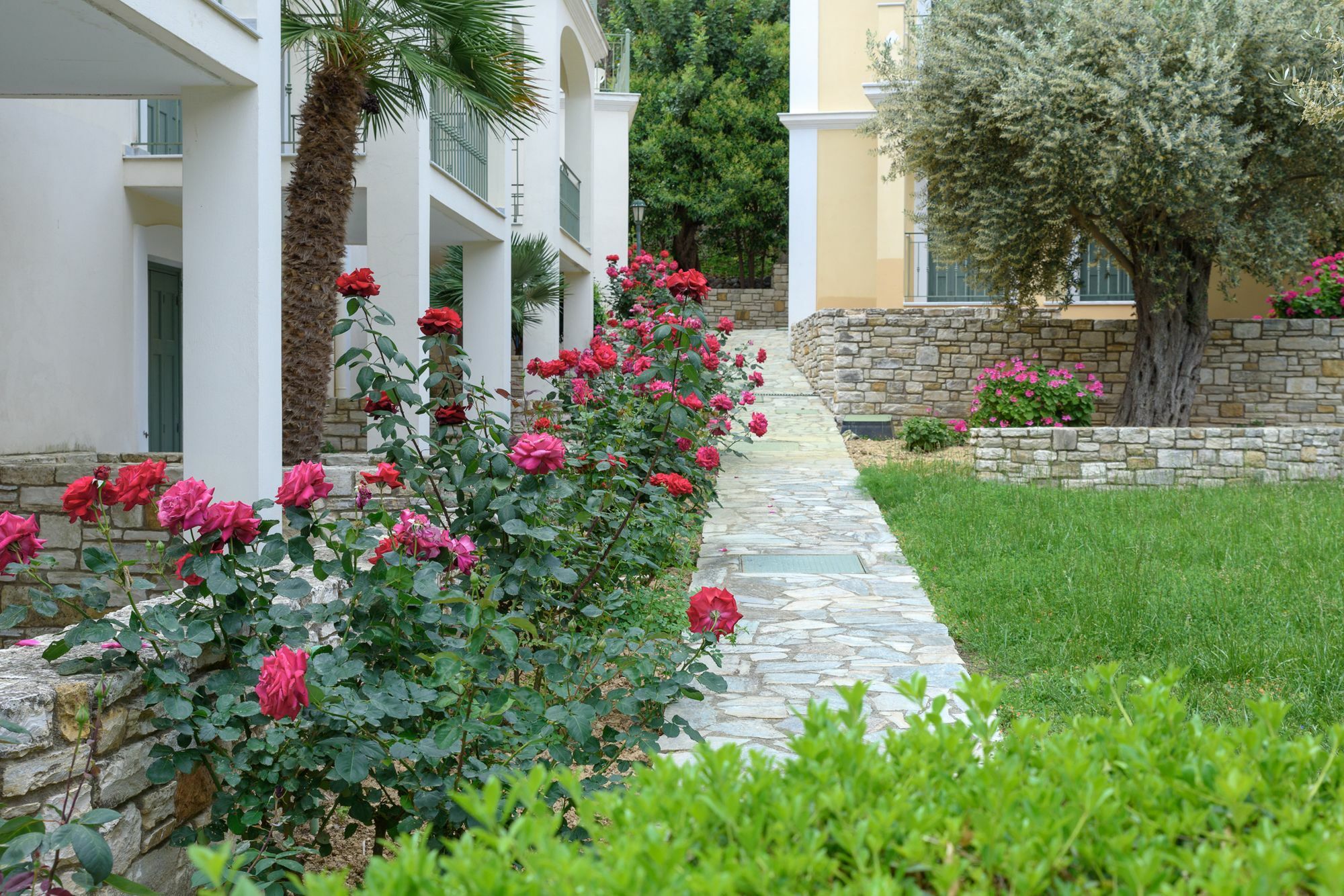 Kyveli Hotel Apartments Vrontados Luaran gambar